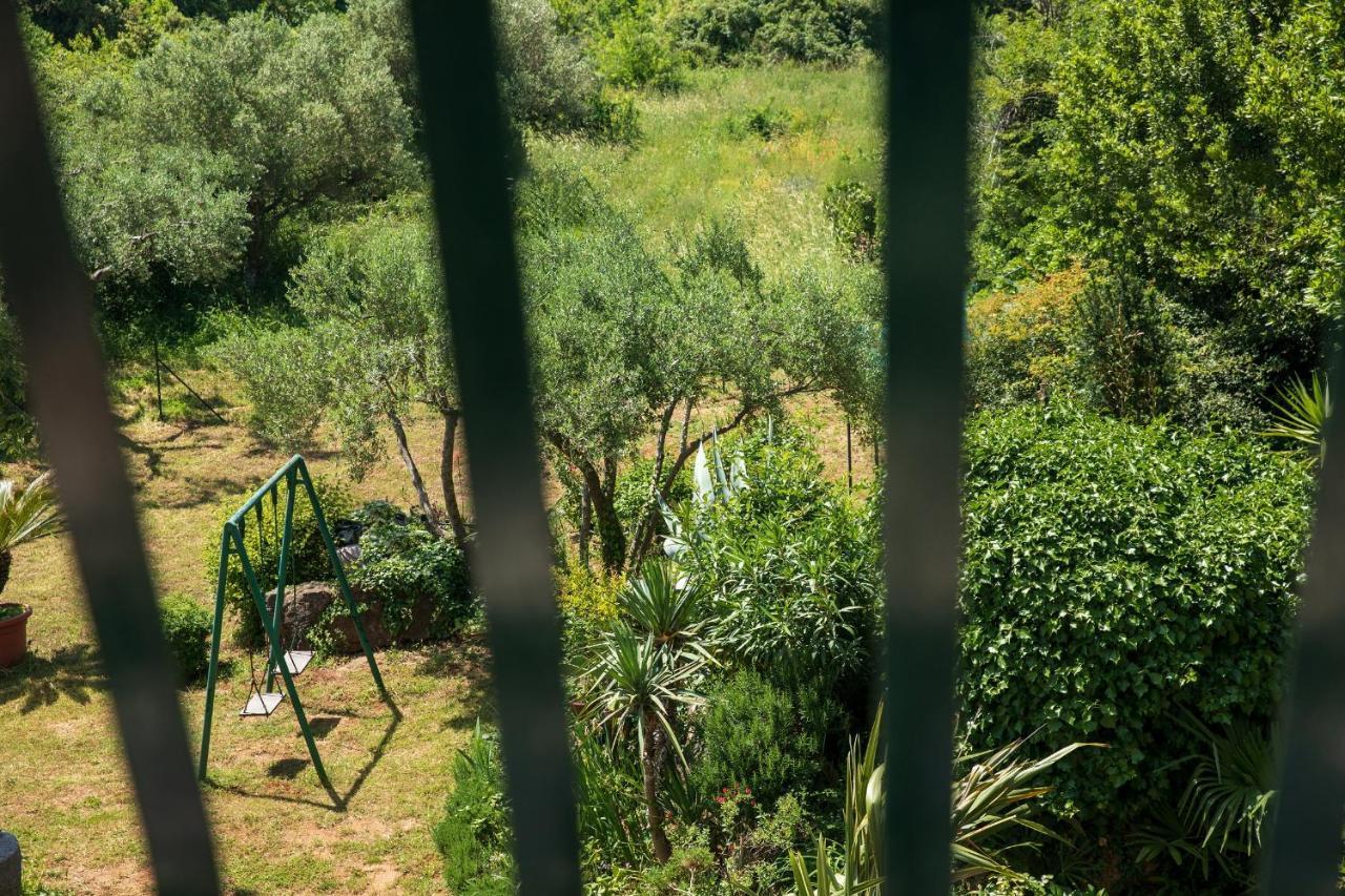Villa Mareonda - Apartments Sussurro Rovinj Eksteriør billede
