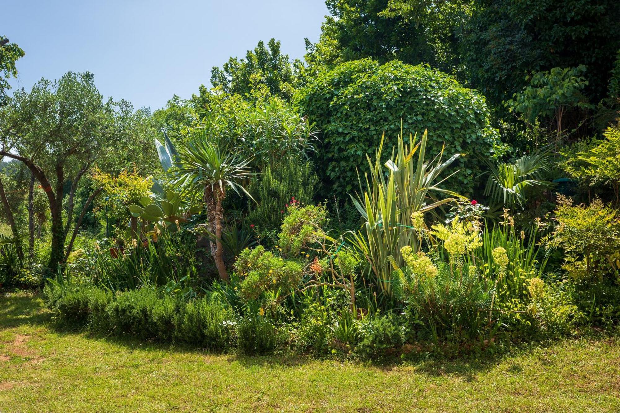 Villa Mareonda - Apartments Sussurro Rovinj Eksteriør billede
